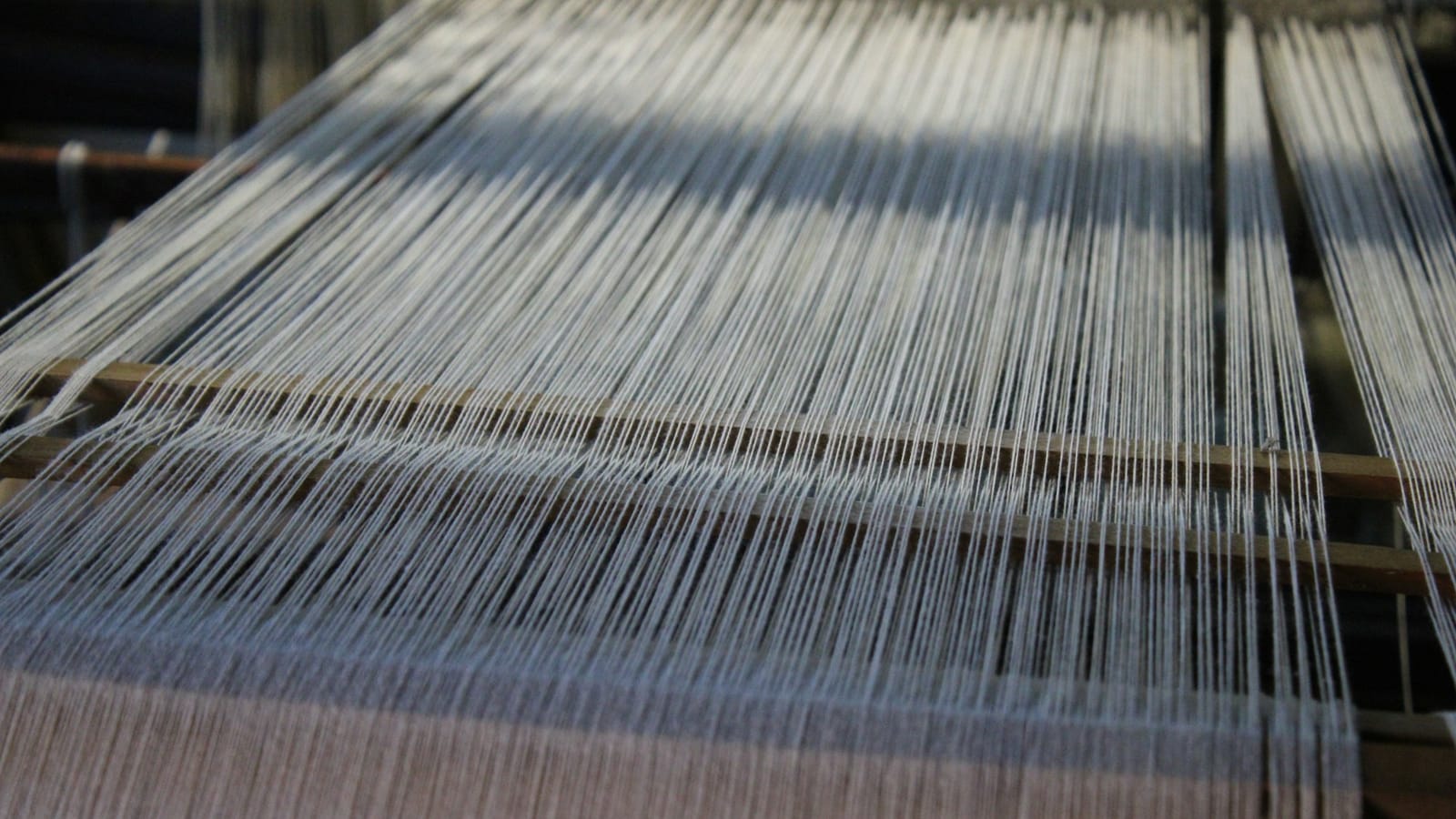 Close-up of warp yarns running through a weaving machine